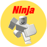 Ninja Animation Pack Try On