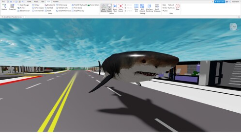 brookhaven flooded+shark