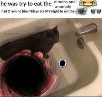 tata goes to bed forever