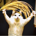 ~The Cult of Wheat~