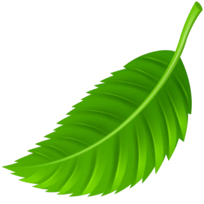 Leaf