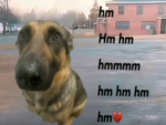 I love shadow