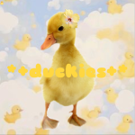 +*duckies*+