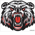 Team bear Strank