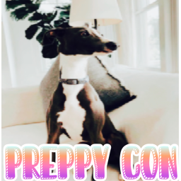 Preppy Con