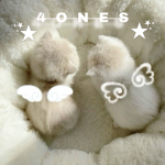 *.•4ones•.*