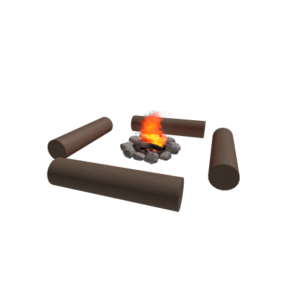 Camp Area Fire Pit Log Seats Woods Forest Hangout