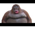 join the monke
