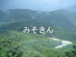 メロい