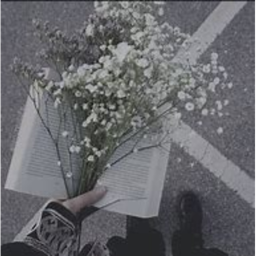 🌼