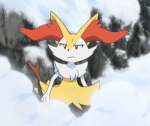 braixen group
