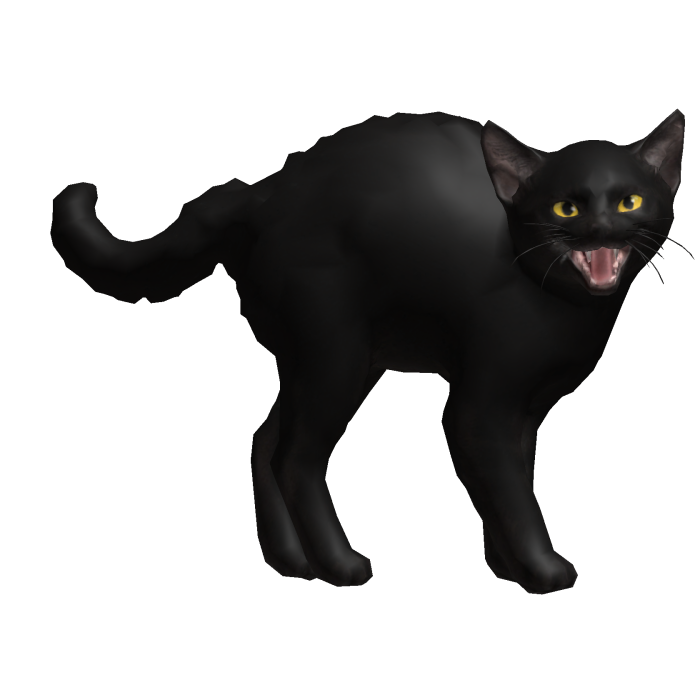 Angry Black Cat