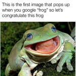 we <3 frogs :)