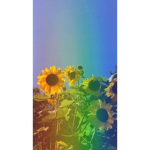Ayo aesthetic vibez checkk