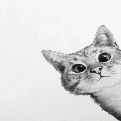 sneaky cat