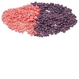 Nerds Candy Inc.