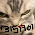 Cele$tyals
