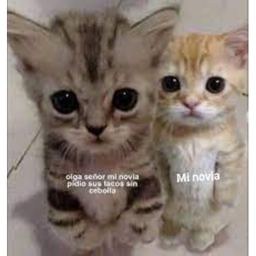Item Buyer 😸