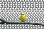 Birb.