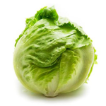 Who wants lettuce