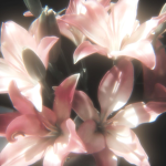 Who loves flowers!!!