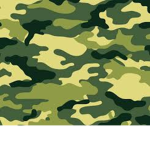 Millitary Group (Enjoy!)