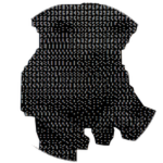 Illusion Bingus