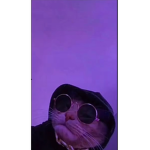 Poooooppp