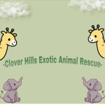 -Clover Hills Exotic Animal Rescue-