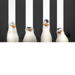 ganggxD