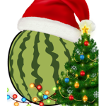 melonio studios