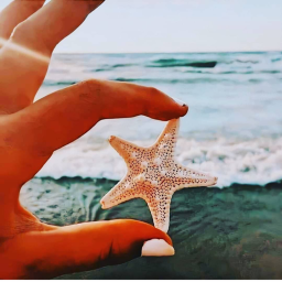 𝐢