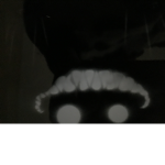 THE SMILING