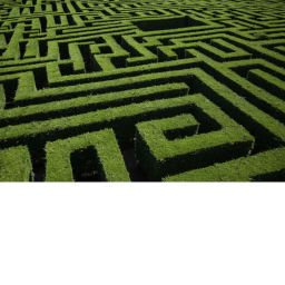 grass mazz (new)