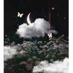 Moonlightdaze