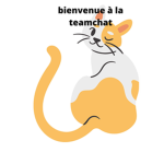 teamchatcoup