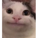 GENTIL_GANGH