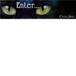 Stormclan Warrior Cats