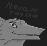 Nevan's Tiny shop