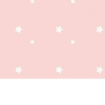 Aesthetic X Army