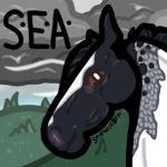 Snowy's Equestrian Apparel
