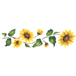 •~ mes beaux tournesols ~•