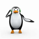 the cute puinguins