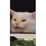 FlopeyBois