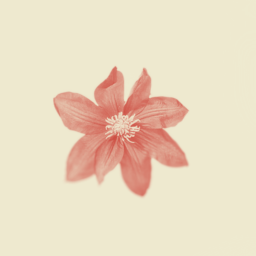.✽✦✽.◦.✽✦✽