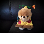 Pizza is good and yummy!¡