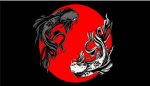 Noko360