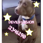 DEVILS-LEGION