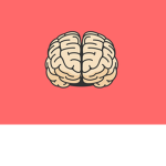 Noodle Brain