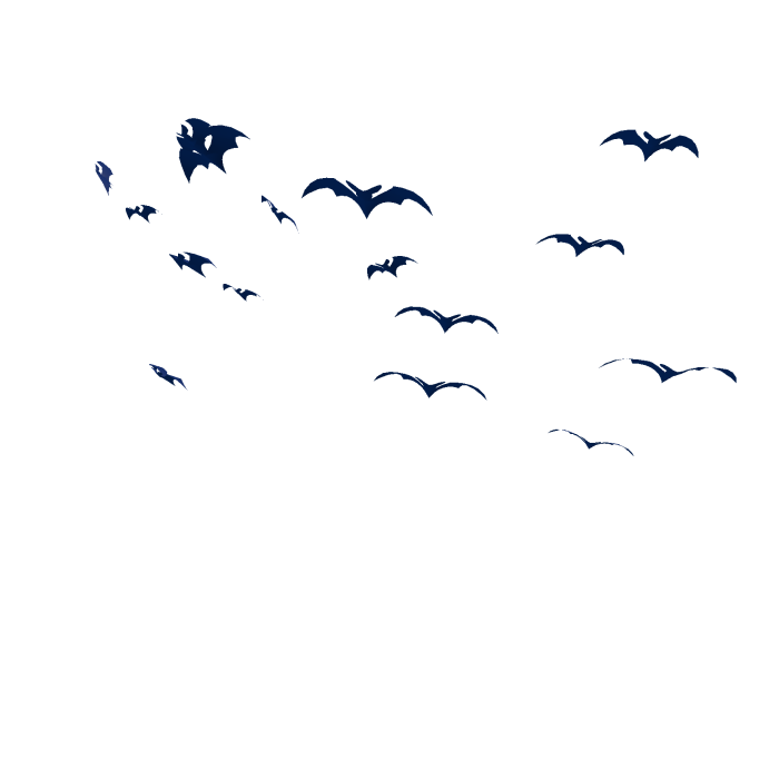 Blue Bats